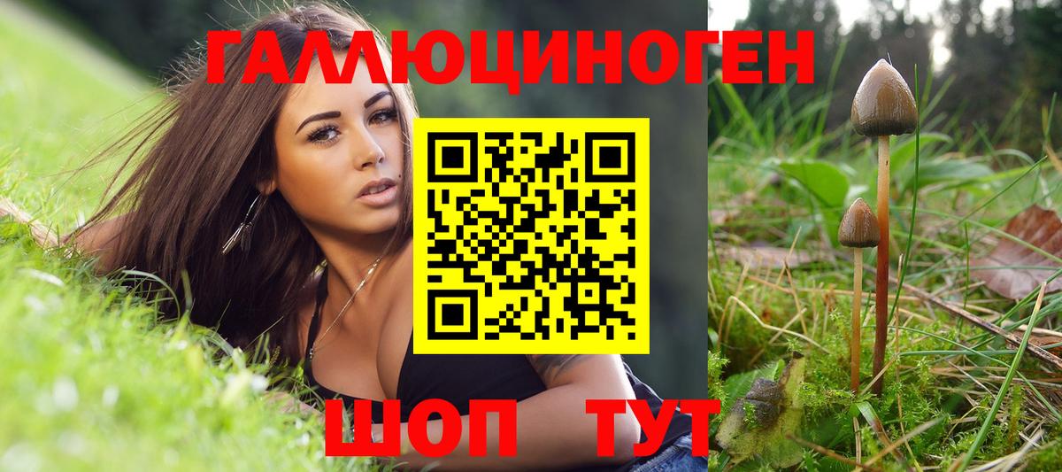 Псилоцибиновые грибы ЛСД  Вход с VPN  Сальск  Псилоцибиновые грибы Cubensis 