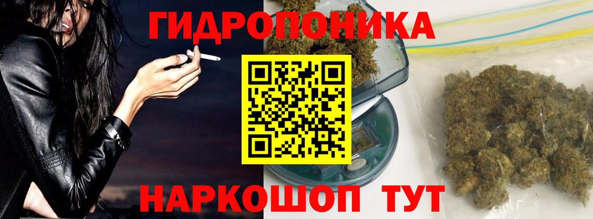 Сальск  Каннабис сатива  Вход с VPN  Канабис LSD WEED  Канабис SATIVA & INDICA  Каннабис индика 